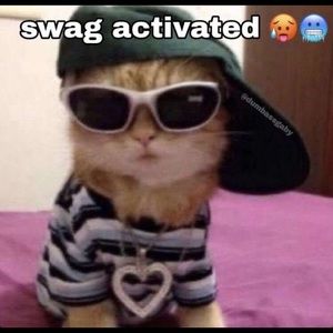 Meet your Posher, Emy